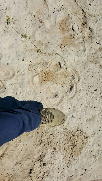 9994B04E5B0024540E1FBB