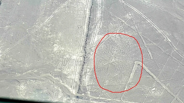 992056455B1683342558CC