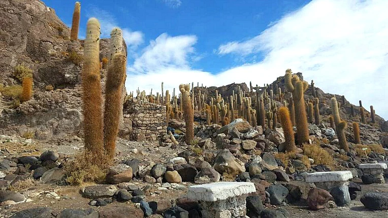 998C7F4C5B1A6EA91EF935