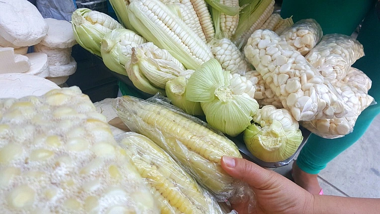 99DD5E495B16805821A6E9