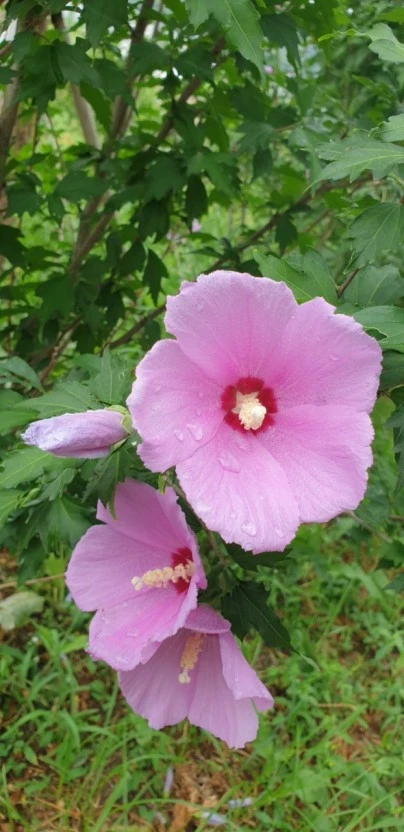 다운로드 (1).jpeg