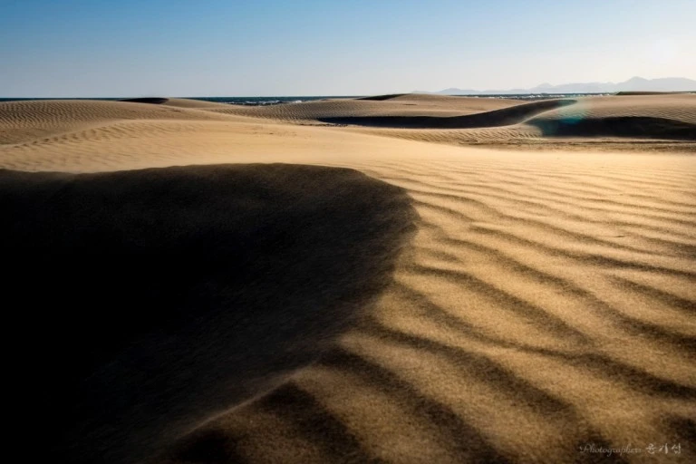 다운로드 (1).jpeg