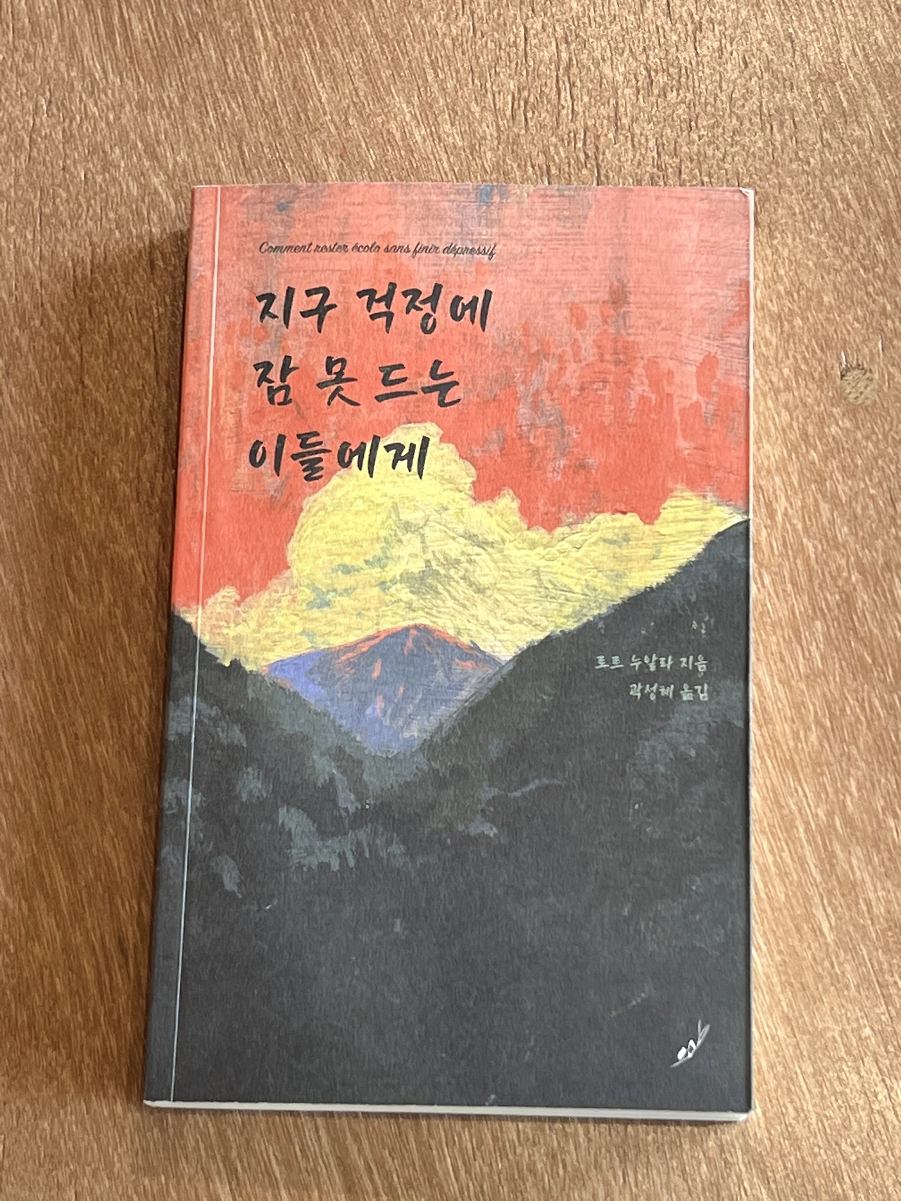 환경책 - 지구 걱정에 잠 못 드는 이들에게 (2).HEIC