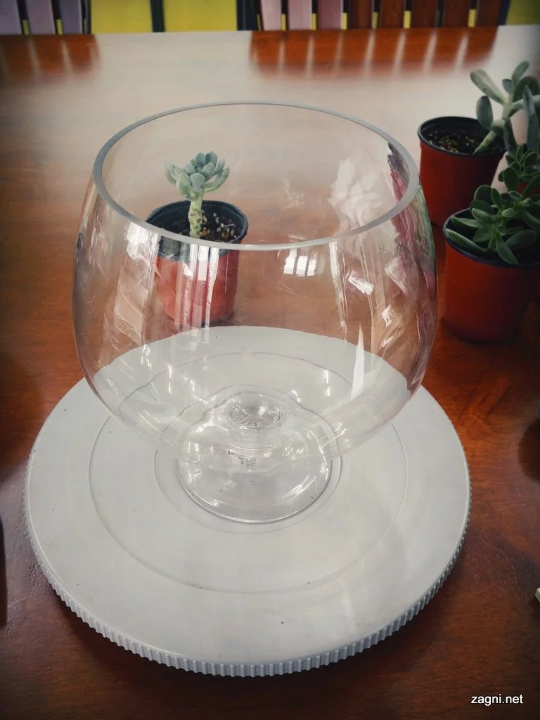 IMG_20160916_143958484_%281%29.jpg?type=w1200