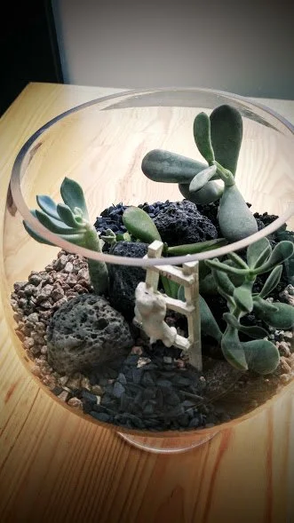 20160916_152815.jpg?type=w1200