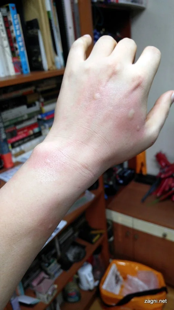 20160908_165547.jpg?type=w1200