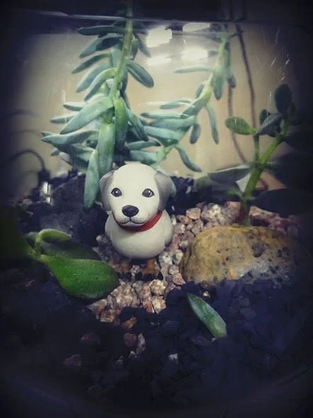 14355571_10208743915614207_452731312936491178_n.jpg?type=w1200