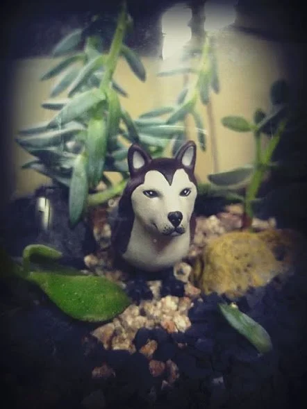 14317593_10208743915454203_1278220801391240082_n.jpg?type=w1200