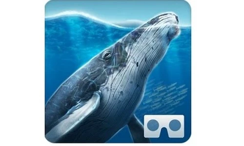 ?src=%22https%3A%2F%2Fi.ytimg.com%2Fvi%2FigXDDLokfVM%2Fhqdefault.jpg%22&type=ff500_300