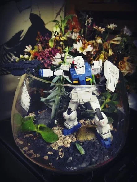 14333778_10208743916214222_2699520136961390924_n.jpg?type=w1200