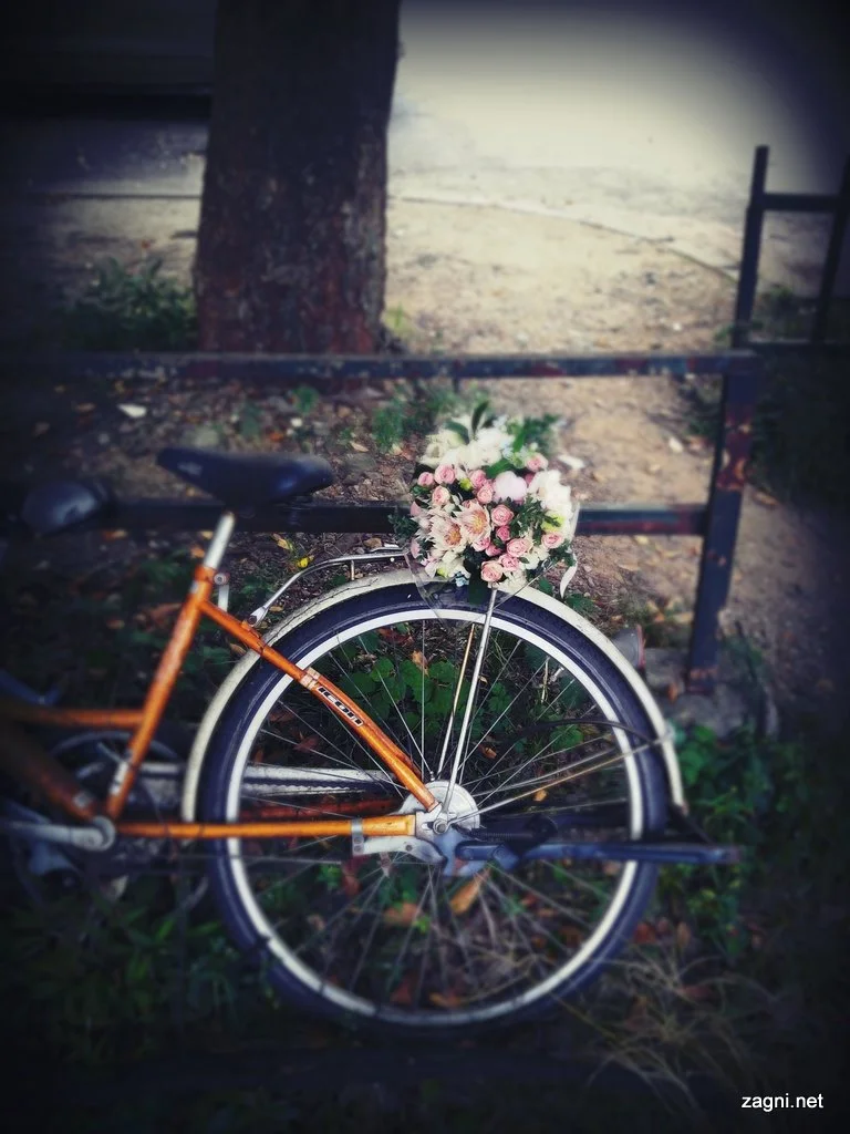 IMG_20160908_164710344.jpg?type=w1200