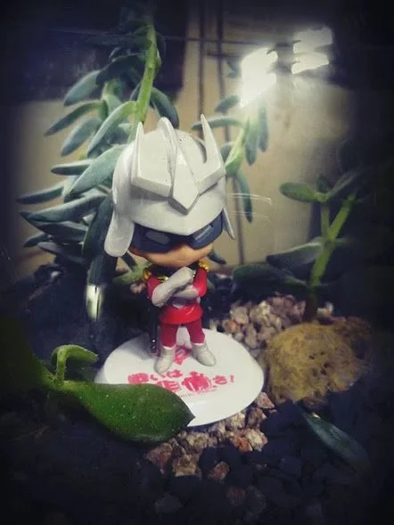 14355679_10208743915894214_2923435798828061955_n.jpg?type=w1200