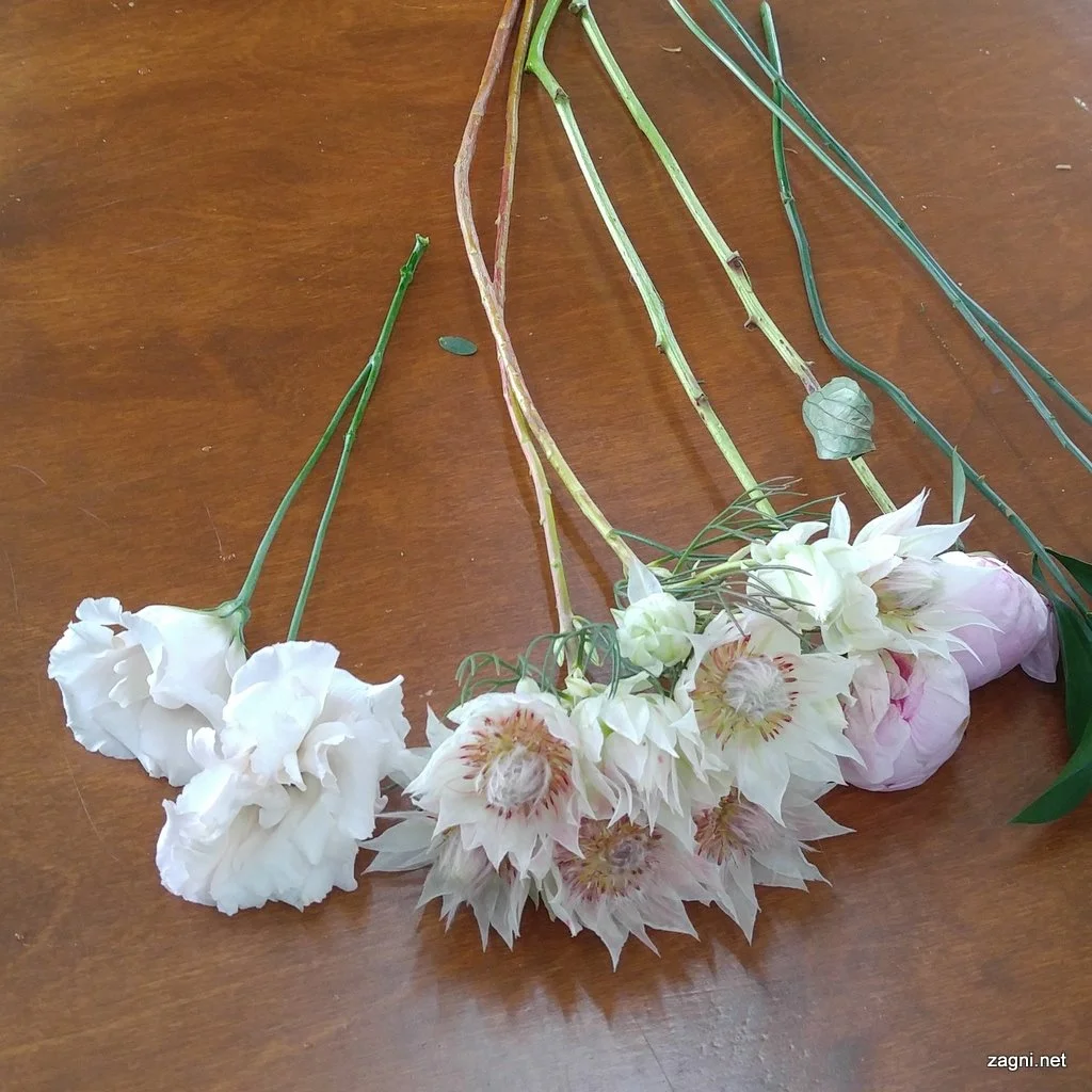 20160908_133008-001.jpg?type=w1200