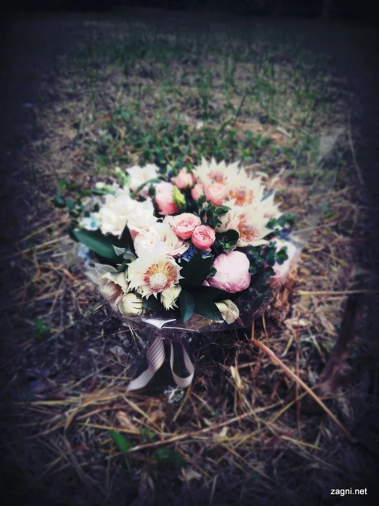 IMG_20160908_164525039.jpg?type=w1200