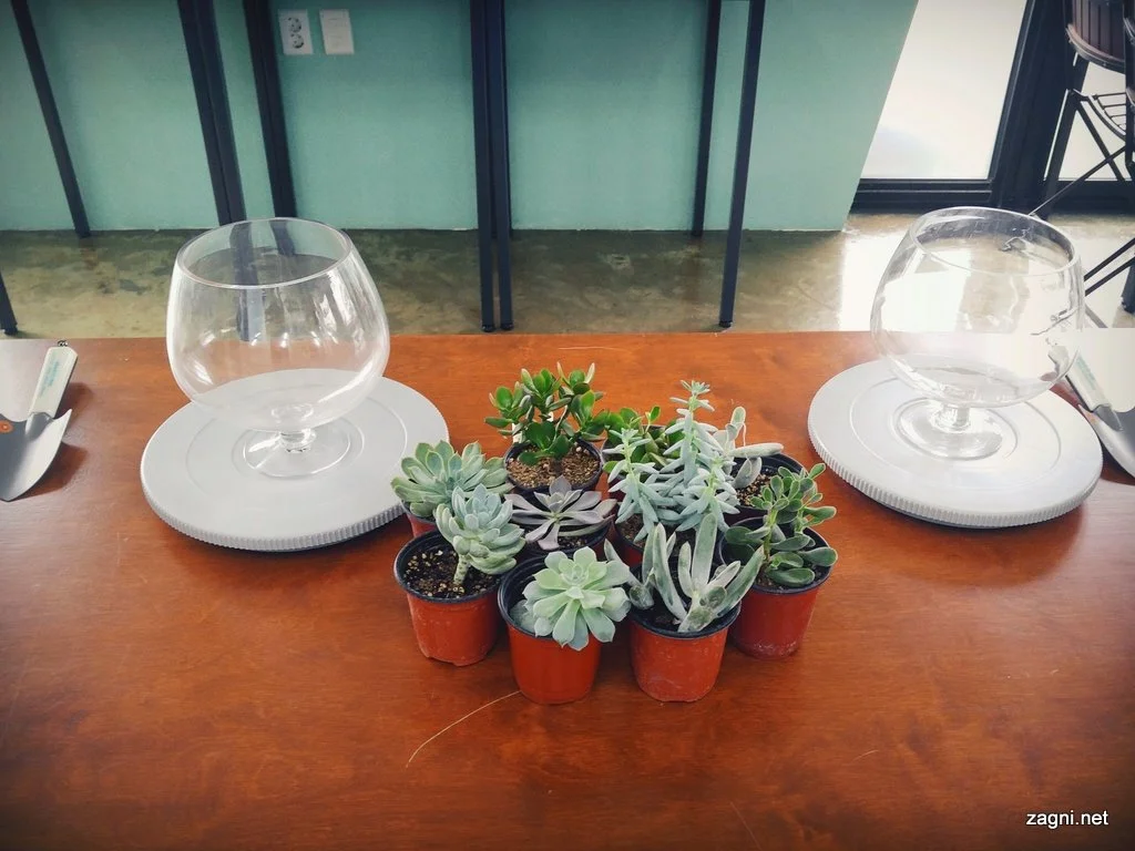 IMG_20160916_143227890.jpg?type=w1200