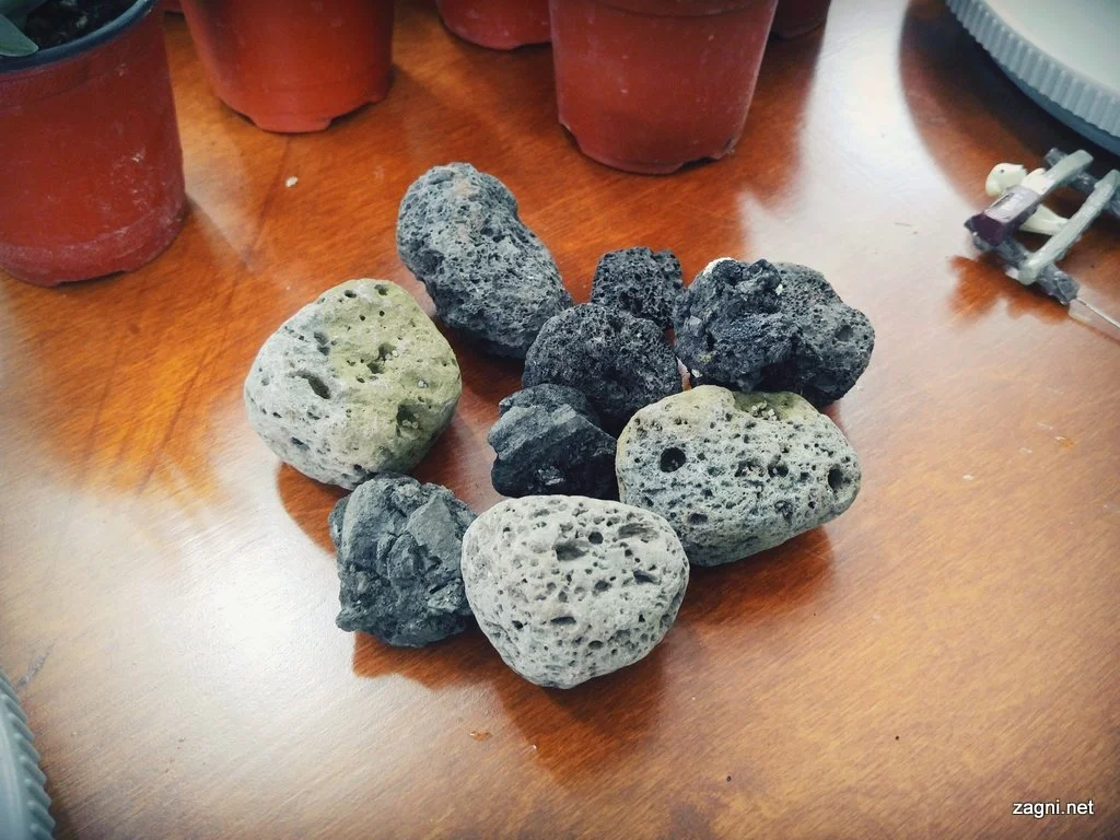 IMG_20160916_143942669.jpg?type=w1200