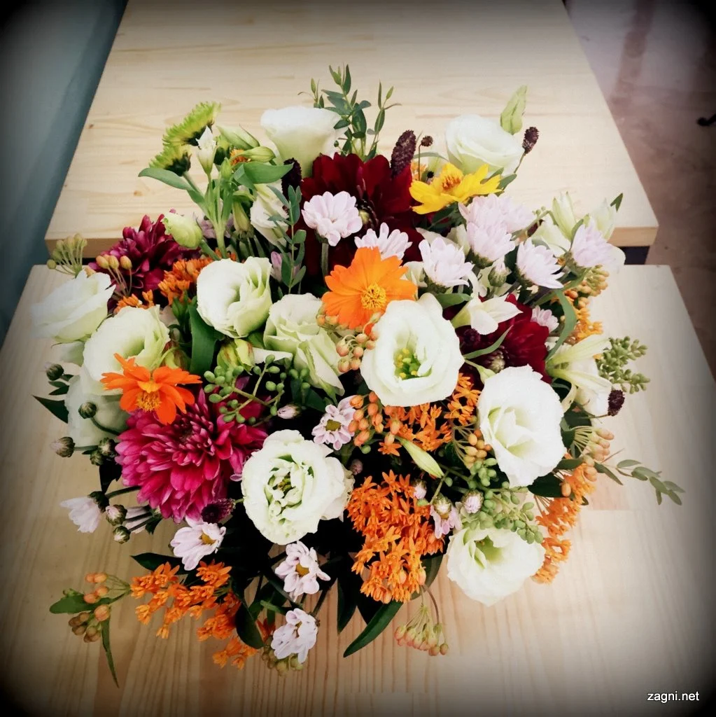 KakaoTalk_20160902_212718237.jpg?type=w1200