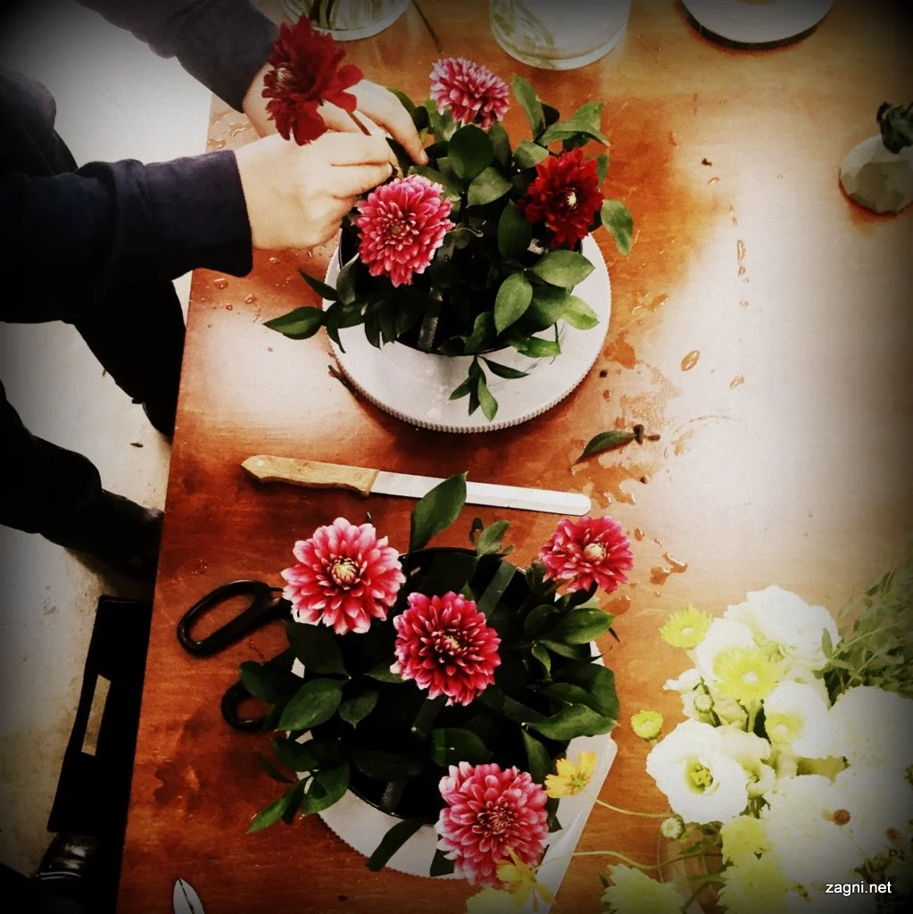 KakaoTalk_20160902_213417881.jpg?type=w1200