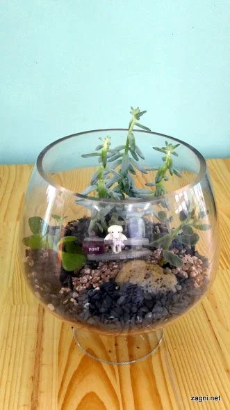 20160916_152704.jpg?type=w1200