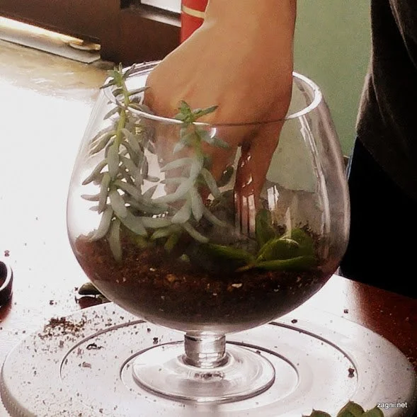 20160916_151415.jpg?type=w1200