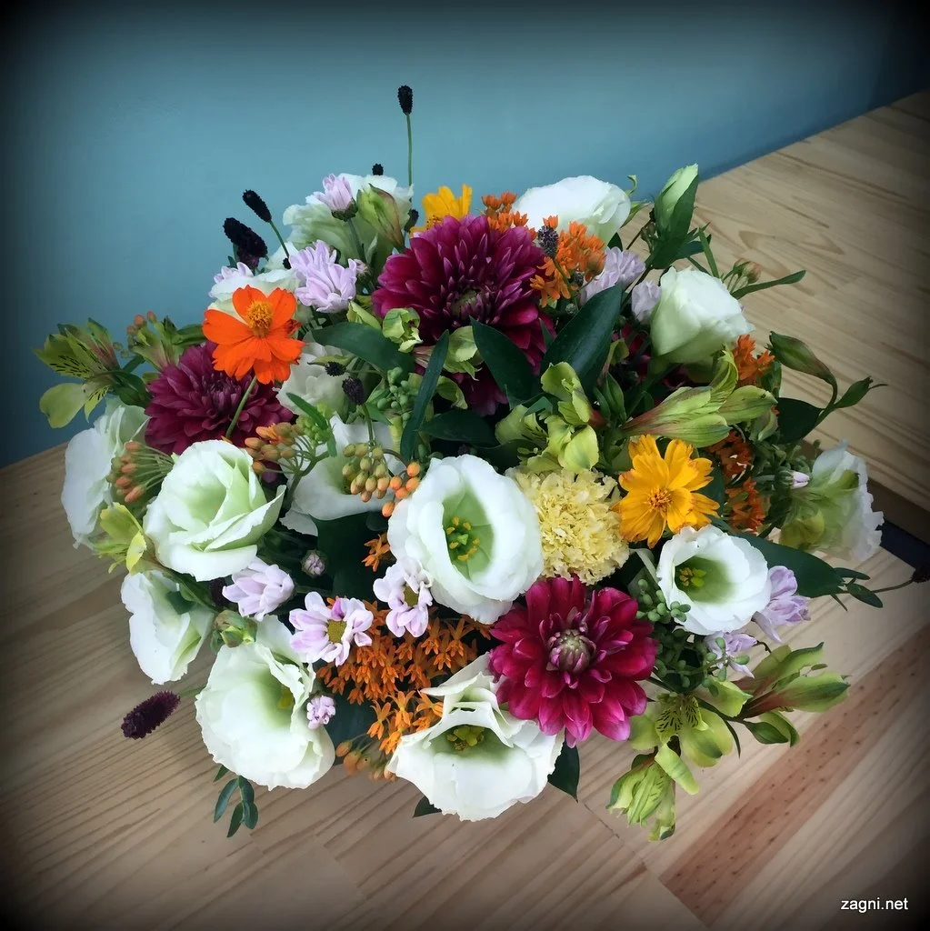 KakaoTalk_20160902_212646853.jpg?type=w1200