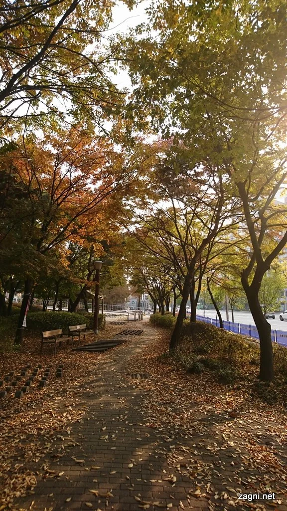 DSC_0045.JPG?type=w1200