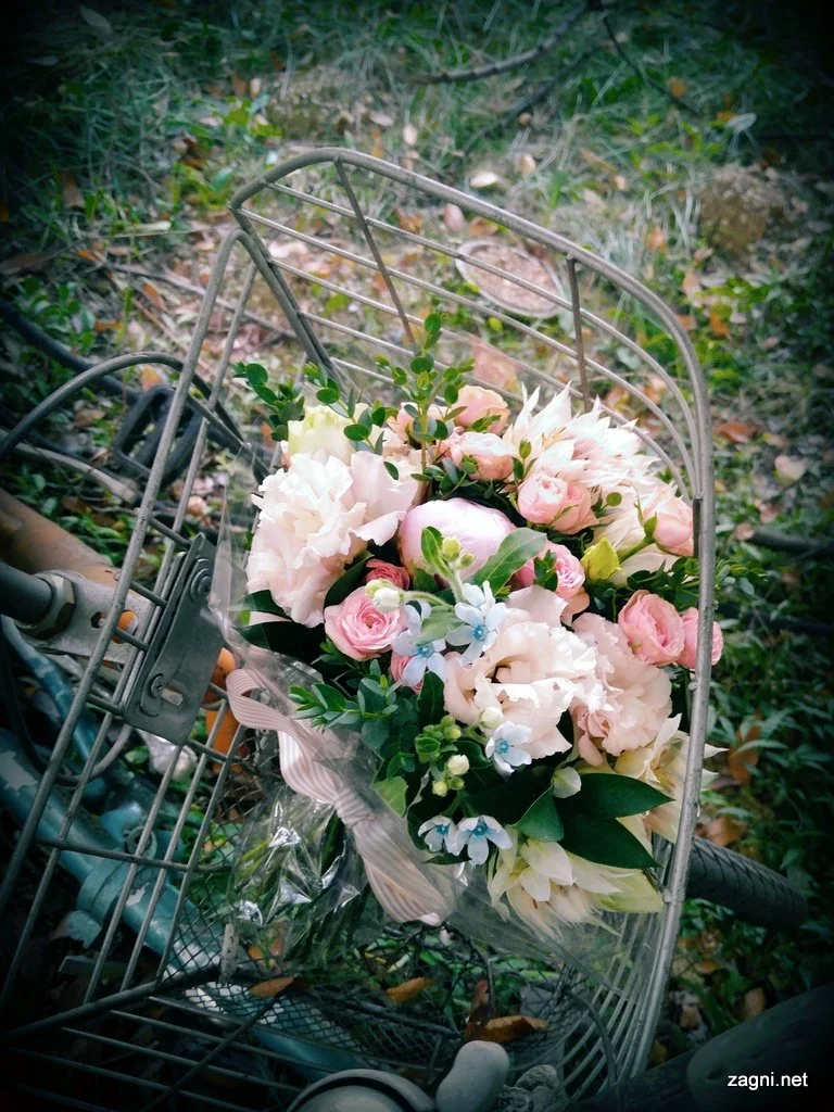 IMG_20160908_163842248.jpg?type=w1200