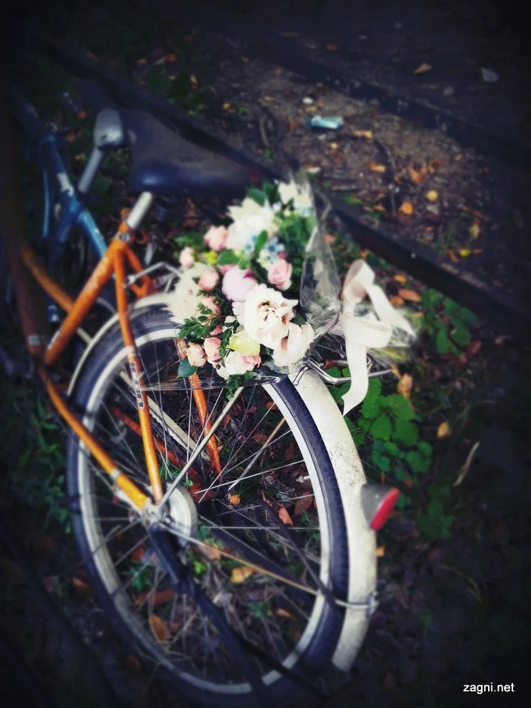 IMG_20160908_164747206.jpg?type=w1200