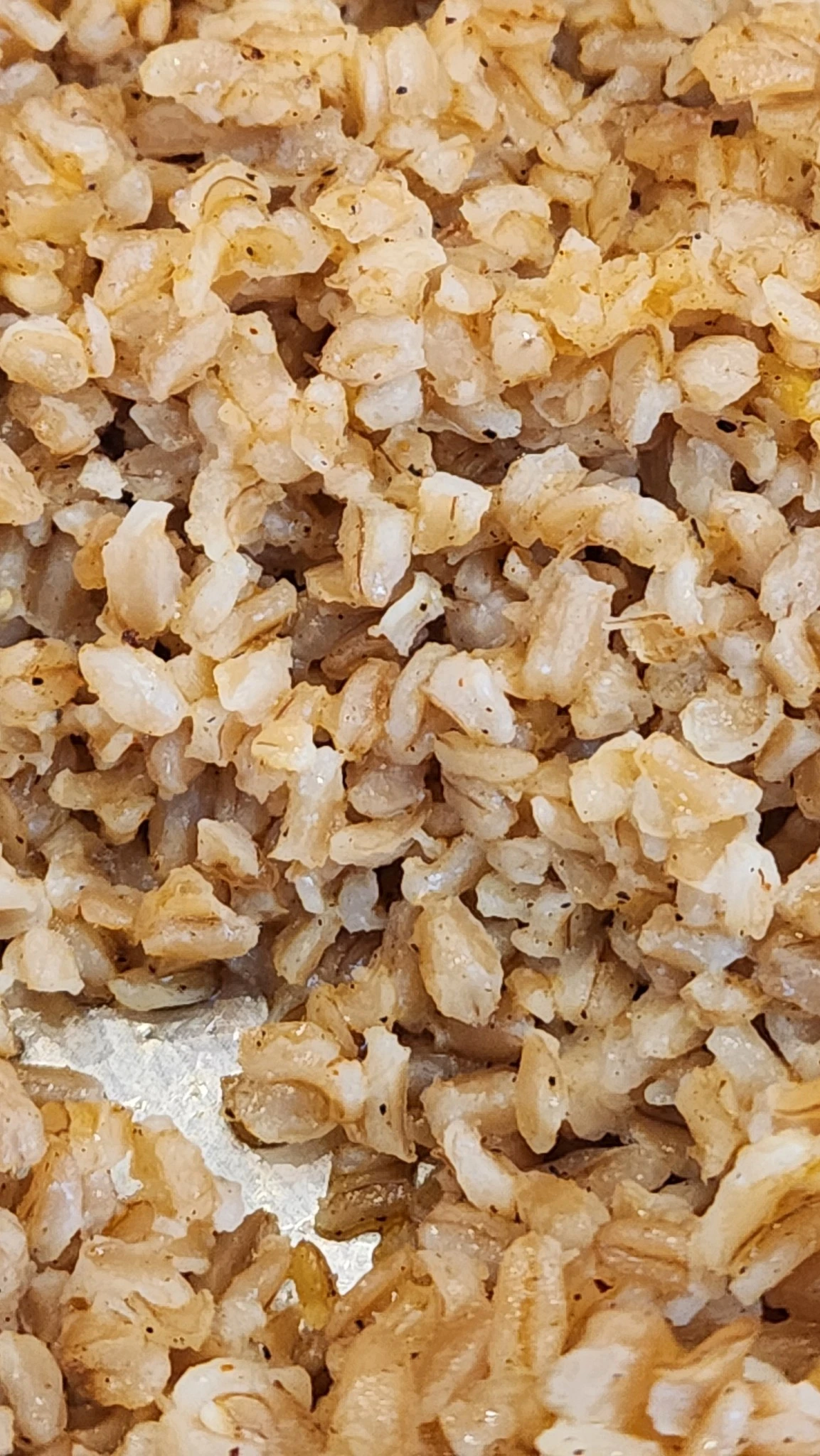 599940633_10166535928299112_8247586658267696402_n.jpg?_nc_cat=107&ccb=1-7&_nc_sid=833d8c&_nc_ohc=5lA5PRNFfToQ7kNvwGndHW9&_nc_oc=AdkfhJVAdIAbI_20ZxpoMyF9I1fLWZZQrjObK6EFelmtObqIzSz5q3h6YScmmYkHTFc&_nc_zt=23&_nc_ht=scontent-nrt6-1.xx&_nc_gid=5CNtwQ_x0ASw69gXn-iH3Q&oh=00_AfmNcWfe2AjRIGmdy0ZJoX5cPFgXGjYVqLcFbnSZmMzLuQ&oe=69593A06