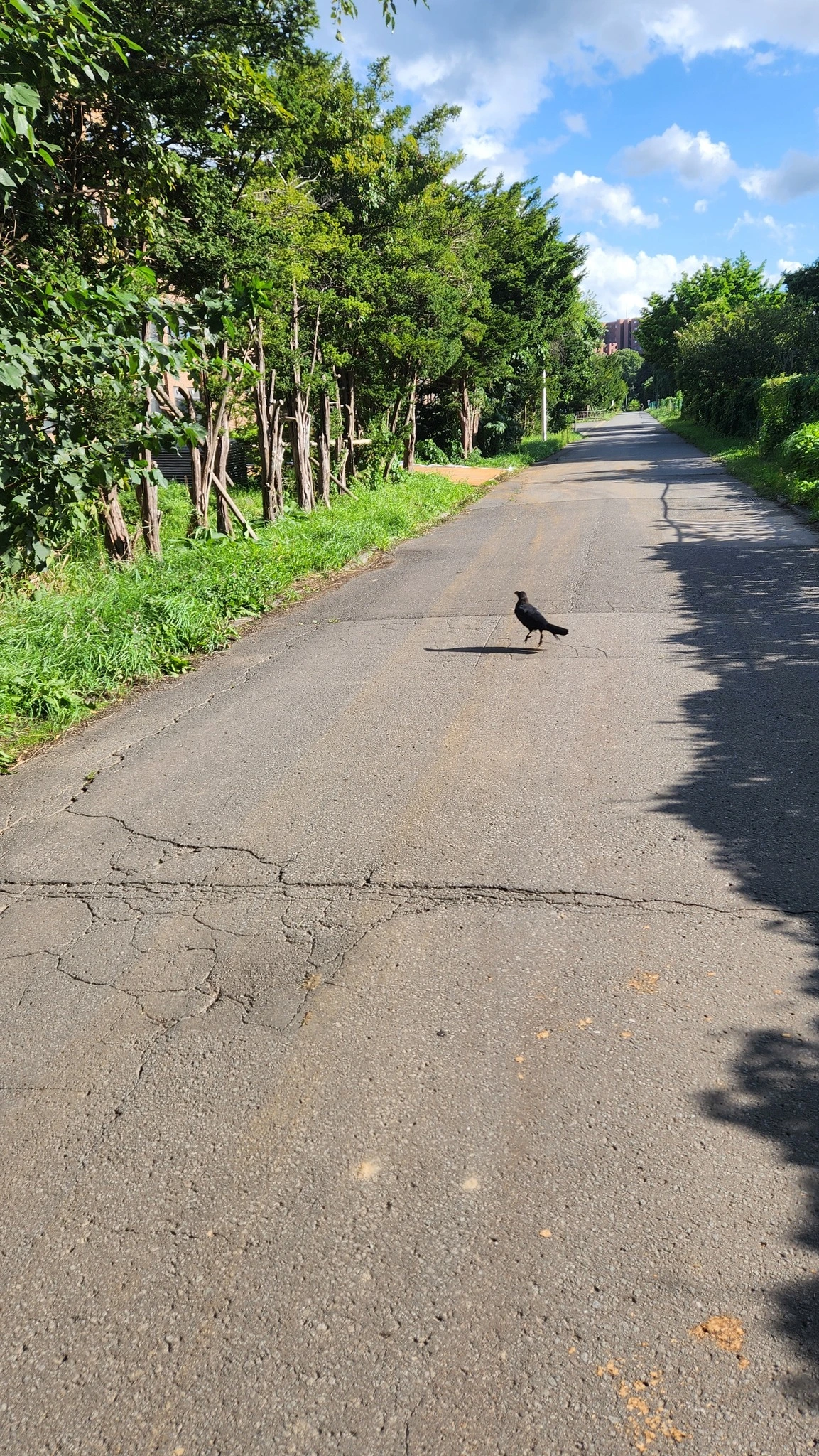 540497417_10165933867834112_1735513187462837950_n.jpg?_nc_cat=106&ccb=1-7&_nc_sid=833d8c&_nc_ohc=123jRTjlW6IQ7kNvwEsrY00&_nc_oc=Adn0I8QKMT5Jh-81uRJEOXkX40AOrtvKZG2IFI_kz8LLFQ7SkGQg0mr6bDdBRvz9OxQNlRlNwixydMYqQDIMr1jM&_nc_zt=23&_nc_ht=scontent-nrt1-1.xx&_nc_gid=I37g8WWk9szNoRgoZ45EOQ&oh=00_AfaUoTCRIn9NiYfAvvEbZUN4vnBpaLfHriuK1H-NU9nP_g&oe=68C00353