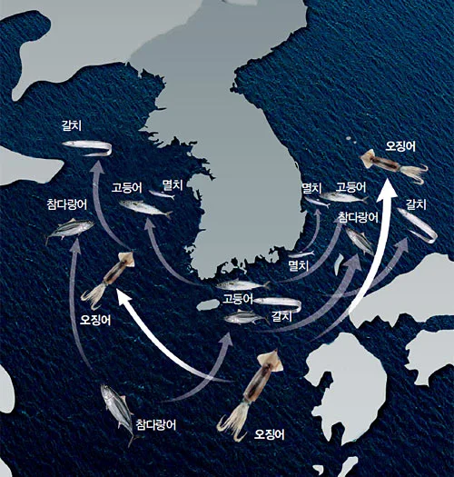 442496902_10163509955539112_1993473313254402381_n.jpg?_nc_cat=111&ccb=1-7&_nc_sid=5f2048&_nc_ohc=Nq7UucIKoOAQ7kNvgEGcnmg&_nc_ht=scontent-ssn1-1.xx&oh=00_AYCIakYfhz_xK3IJRf_WuAuAUXLDO1nrHh0-m27xW347Zg&oe=664F1DA1