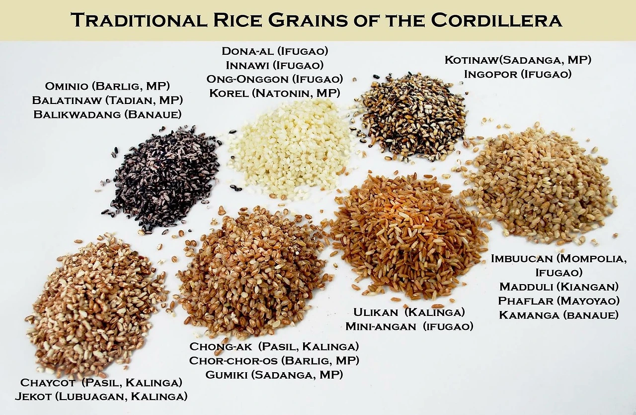 image-asset.jpeg?format=1500w