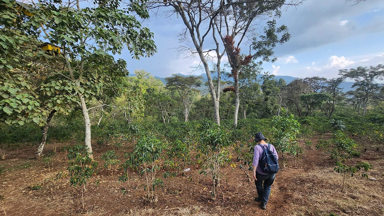 599941448_10166537970579112_1230987906263088955_n.jpg?_nc_cat=111&ccb=1-7&_nc_sid=833d8c&_nc_ohc=6HU6gnImzJ4Q7kNvwGQcKuP&_nc_oc=Adm9m_eiygfqMlDvAEgmjSTDNJqry62wwYz78PUElYA9wGIidjAB441Z45_ggEtxMaM&_nc_zt=23&_nc_ht=scontent-nrt6-1.xx&_nc_gid=k8sQO71s9lAeYBmH7bN3dw&oh=00_AflcBg3q_dvXsngCTm5v7vBYUAMj3m3JltiHj72Czm1L_g&oe=6959384C