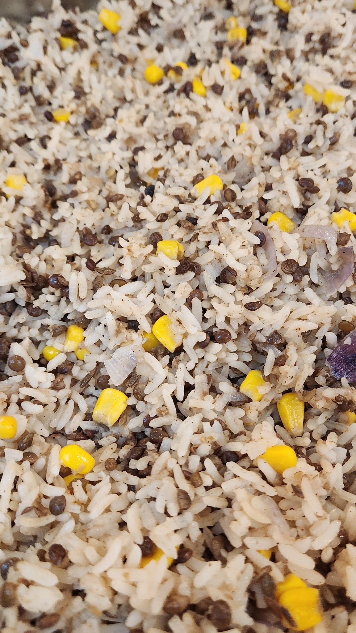 599938581_10166535929094112_1577282786523256066_n.jpg?_nc_cat=109&ccb=1-7&_nc_sid=833d8c&_nc_ohc=CBOv1tAmkusQ7kNvwHHVZDS&_nc_oc=AdkvDDdMEpTpFSl2Pu44O1cROKn7qZGyDX8hrGdiOg3m7QXqZnpys9gS_Tfb3bFnjRo&_nc_zt=23&_nc_ht=scontent-nrt1-1.xx&_nc_gid=8tBpD4nCtiwY62P8O7o7Dg&oh=00_Afnwe-9ShaWt98vtXnz1UkkHoxhI2fAl2paMFogxRJYE8g&oe=69593D70