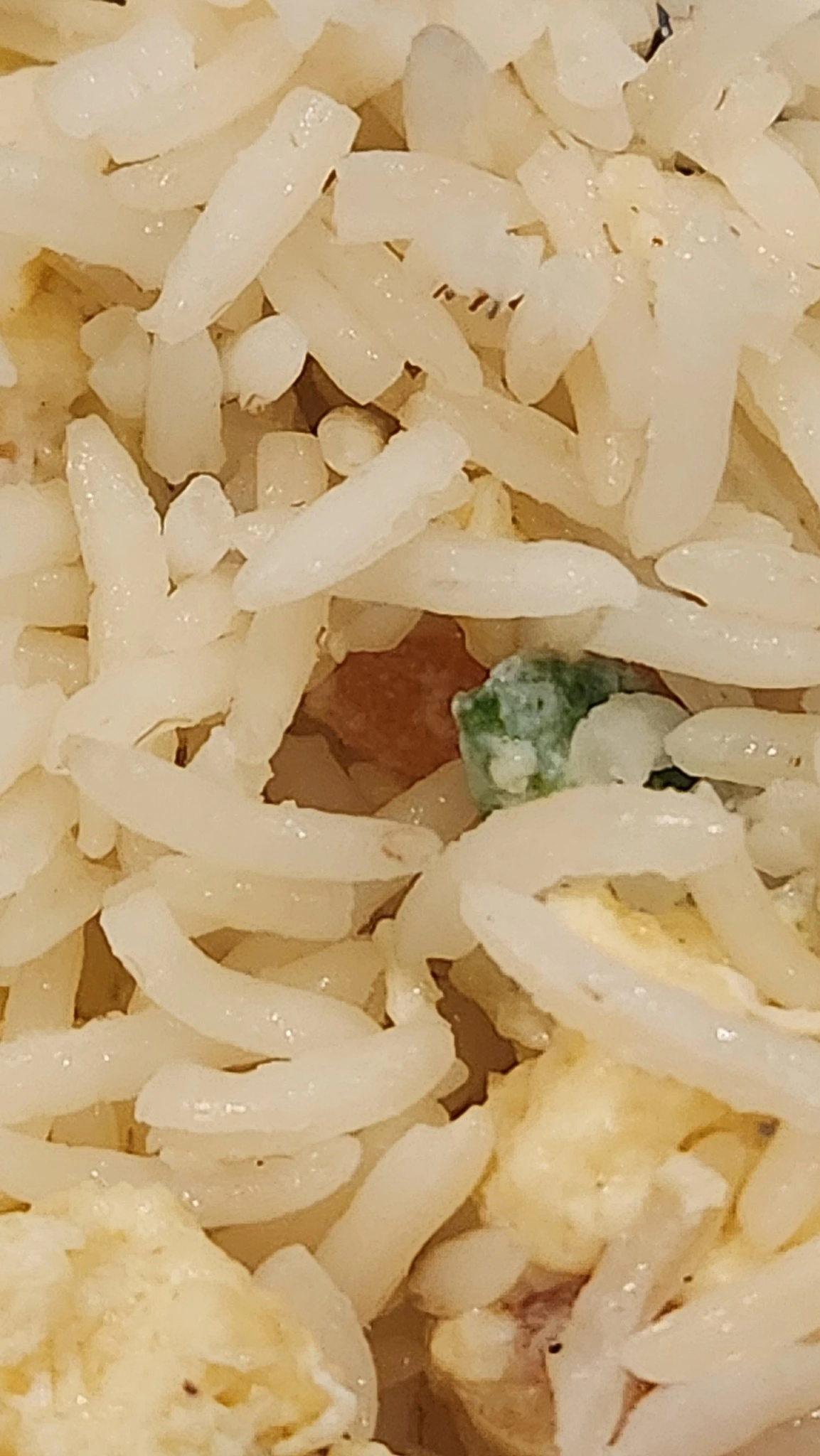 599950262_10166563321014112_4351376682184315004_n.jpg?_nc_cat=111&ccb=1-7&_nc_sid=833d8c&_nc_ohc=13MuZ88vwDwQ7kNvwECXuyG&_nc_oc=AdmMwMOKtFSdFC-NLHeAimIMgvi9EVPMcD0_yhPEXZ2zU9X_86akDFmgmxXQiprm1UM&_nc_zt=23&_nc_ht=scontent-nrt6-1.xx&_nc_gid=4fAzA_aDxJplWuJwY2jAiQ&oh=00_AflfpoytcG_ITArk93ehmoaQfdXpdal5LQnqCG-qCYfigw&oe=695950F7