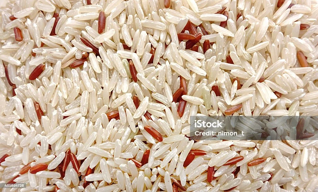 %ED%98%84%EB%AF%B8-%ED%98%BC%ED%95%A9%EB%90%A8-%EC%95%BC%EC%83%9D%EC%8C%80.jpg?s=1024x1024&w=is&k=20&c=EAZeXgHSRAbknIGleW1TLrS2WY-0bexIePs6B4wizsY=