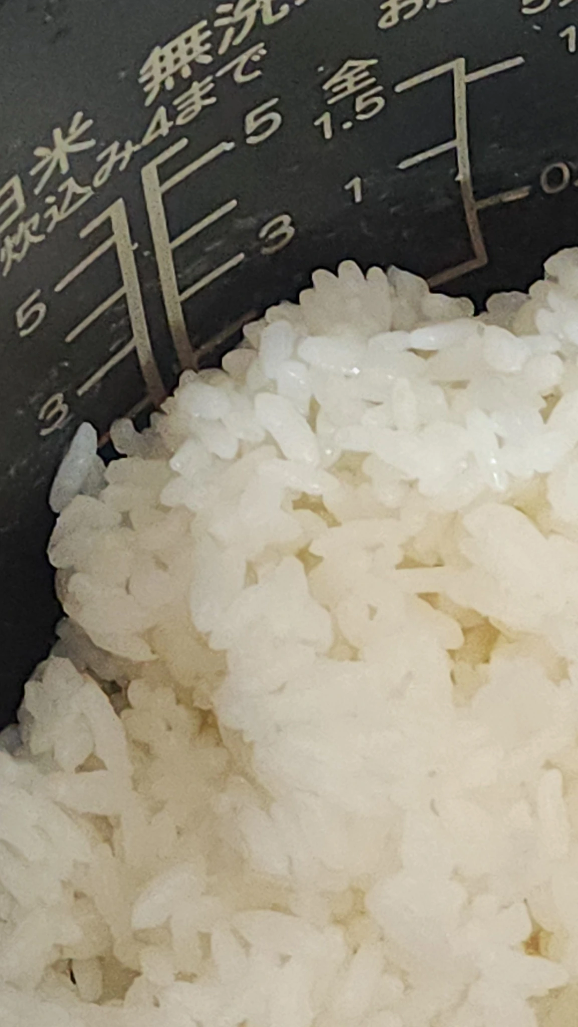 548162820_10166020970924112_6455143514306823946_n.jpg?_nc_cat=111&ccb=1-7&_nc_sid=833d8c&_nc_ohc=uwhpiPMscUYQ7kNvwEWFWNl&_nc_oc=AdlzK-GMvkeI9HNgy_oI2QUwRieTMNjQ01uWD6E-_-kXxXvTEtDf59B374BB0YTsi5ofIoKpfdSh7lFtaS0emY8I&_nc_zt=23&_nc_ht=scontent-nrt1-1.xx&_nc_gid=ftYtdliQTTjLpRHRlNomiQ&oh=00_AfY1DAToPDDqL8saOUwOvyz3aF19lKnoNXV25-KhJlpd-Q&oe=68D0FE7E