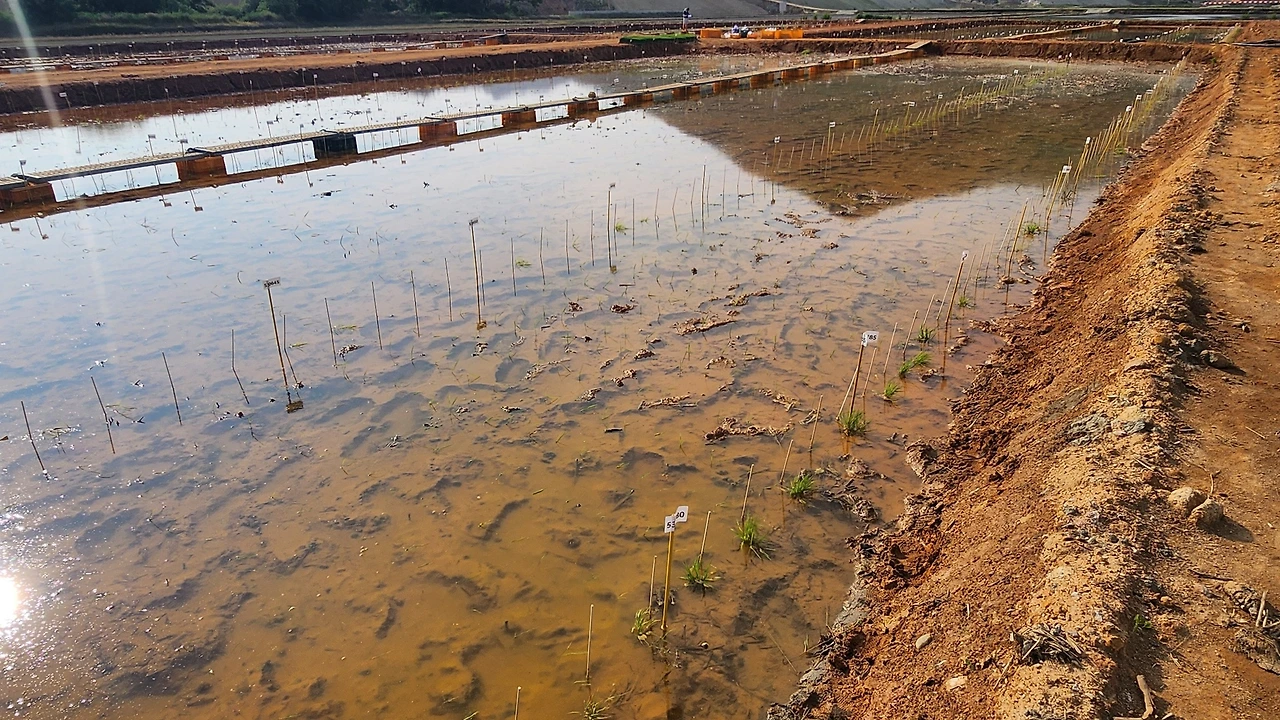 496058917_10165352205294112_5768289720045649003_n.jpg?_nc_cat=110&ccb=1-7&_nc_sid=127cfc&_nc_ohc=vhbRkdL673YQ7kNvwE4EAtC&_nc_oc=AdlsEZJZNyf5MRNO0QLSipx09Y0q-pym7AGozI3XKWavj_NoSMzfpRtzFC3NK_lbnd8&_nc_zt=23&_nc_ht=scontent-icn2-1.xx&_nc_gid=CodbFIPqNf070GPL9TGaQw&oh=00_AfLSKYUBRKrdZrxymLgPe7ixAySoEOIhhwo3DTTxuekjAQ&oe=6844232E