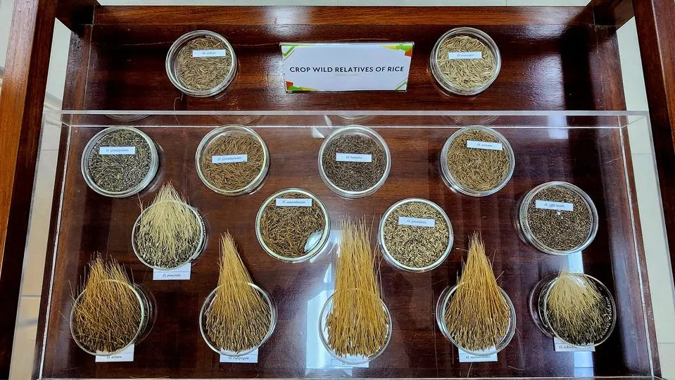 455961802_10163794951434112_9013106505653028047_n.jpg?stp=dst-jpg_p180x540&_nc_cat=103&ccb=1-7&_nc_sid=833d8c&_nc_ohc=sxpfVvpk4yMQ7kNvgGW4XkR&_nc_ht=scontent-ssn1-1.xx&oh=00_AYAX1jvtY1J1_4kS68t4-picPfkinwIw-NjQ9er7e2W4Yg&oe=66C78167