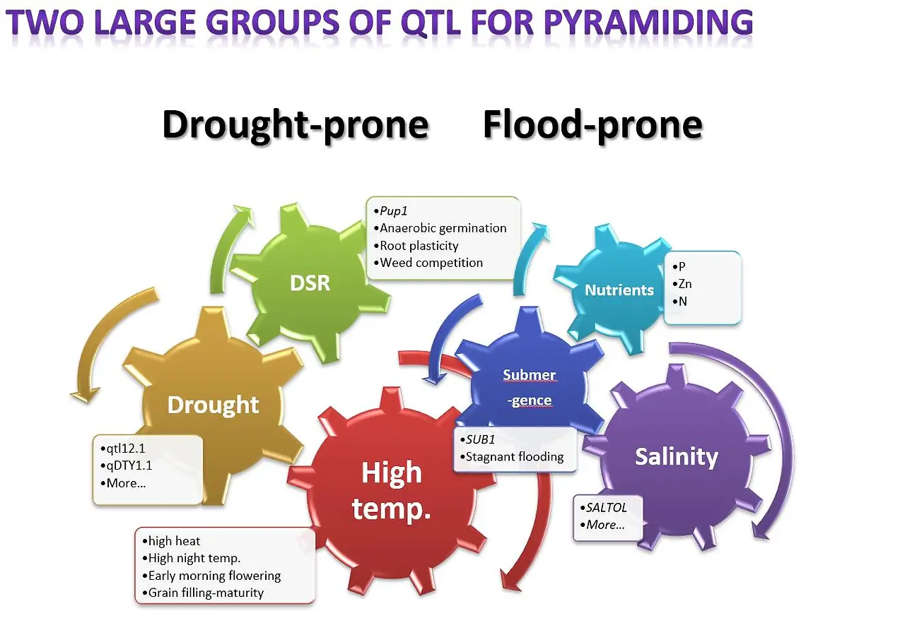 428630810_10163343373294112_7332669292414327382_n.jpg?_nc_cat=101&ccb=1-7&_nc_sid=3635dc&_nc_ohc=KVFwe-QUvV0AX9QTJuz&_nc_ht=scontent-ssn1-1.xx&oh=00_AfADNqbUJnUf7WMEFwppZHyxIq_kt_AfKSpNf4Z89RnmSg&oe=65DFCCC0
