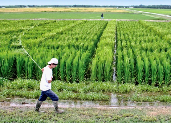 page4_pollination.jpg?bc=white&amp;as=0&amp;mh=400&amp;mw=1110&amp;sc=25&amp;thn=0