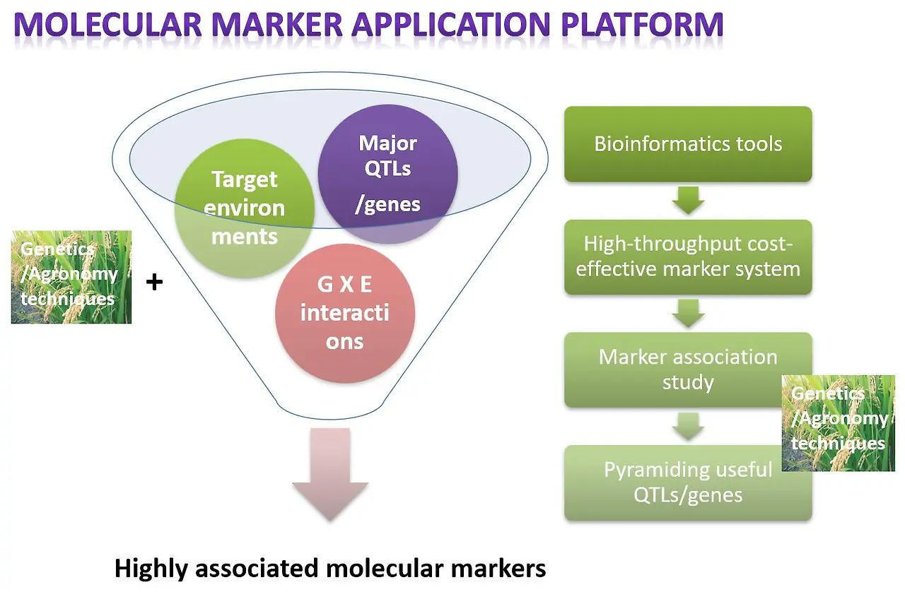 428620710_10163343372614112_5502375085391060994_n.jpg?_nc_cat=106&ccb=1-7&_nc_sid=3635dc&_nc_ohc=Vqvsggh36ccAX9PDp7G&_nc_ht=scontent-ssn1-1.xx&oh=00_AfDwH5hn2DAOsRCkAhnXouas6bLANUZ0oE7532j_G4s8BA&oe=65DFEB23