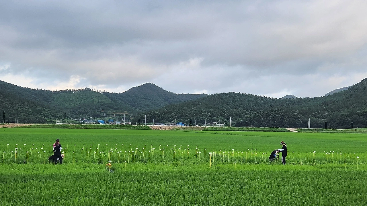 453099214_10163702812009112_7044088659927397620_n.jpg?_nc_cat=107&ccb=1-7&_nc_sid=127cfc&_nc_ohc=ft8BNWXmIWkQ7kNvgES2flR&_nc_ht=scontent-ssn1-1.xx&oh=00_AYBOe0KKLWrlSwd6X-YEQZo9LrvrLfWkX0ejyBjm84CEfw&oe=66AA327F