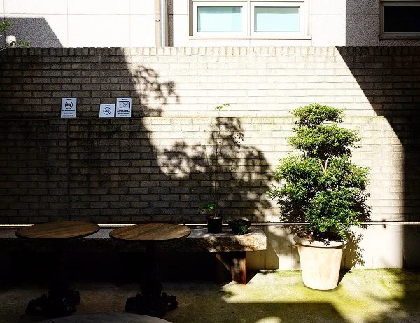 998CC9395B4A0AA82A889B