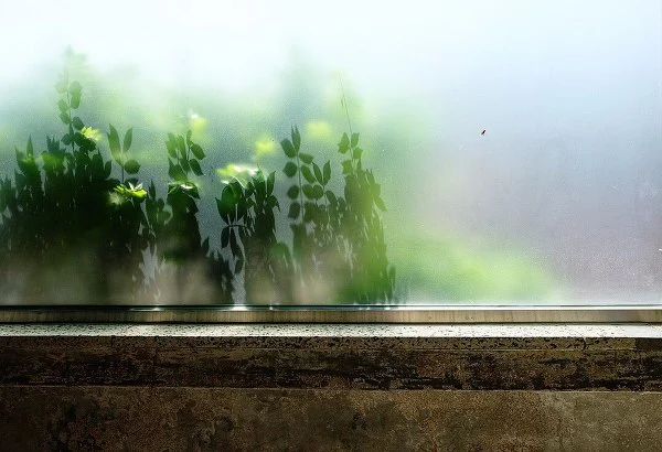 990993355B556458282867