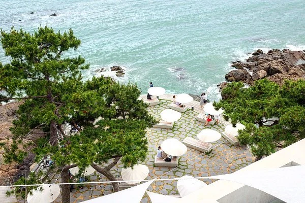 9931E8485B2CF04A1DEA00