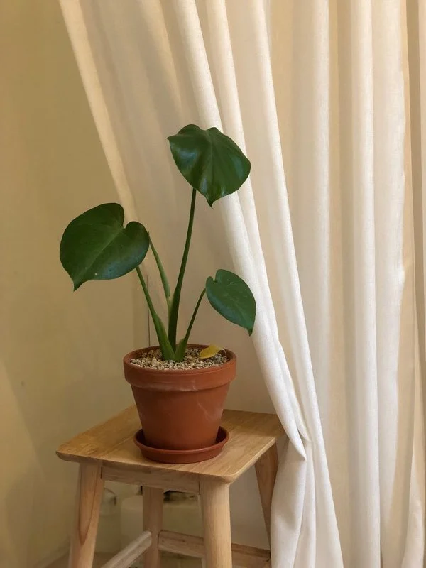 996EC8345B4A0A95184EC0