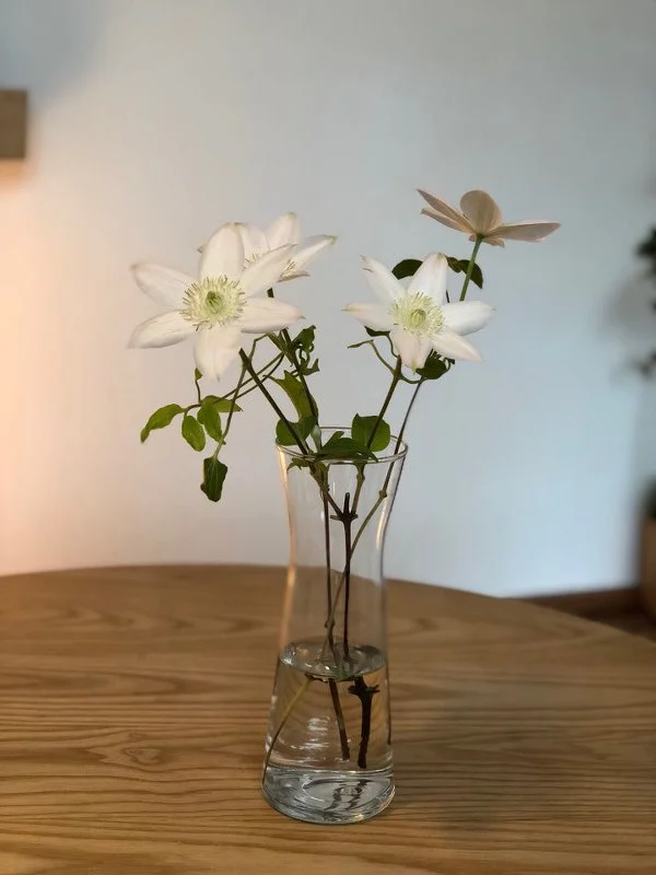 99118B395B4A0A9A347191