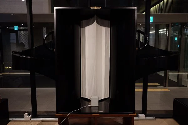 9933DB355BC5E20E2C488A