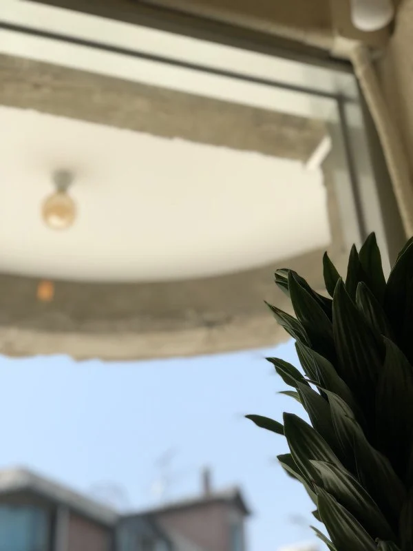 9925B94E5B44B96A054DCF